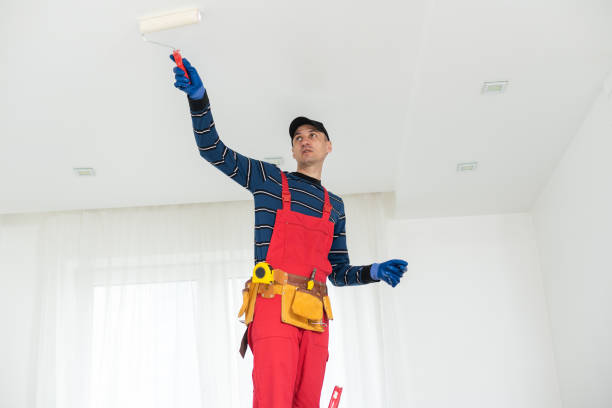 Best Drywall Crack Repair  in Pascagoula, MS